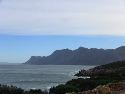 20090821023756 - View from Road, Hermanus Cliff Path, Walker Bay