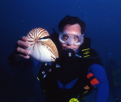 Palau   Shane And Nautilus