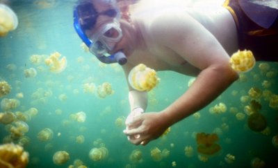 Palau   Shane In Jelly Fish Lake Side