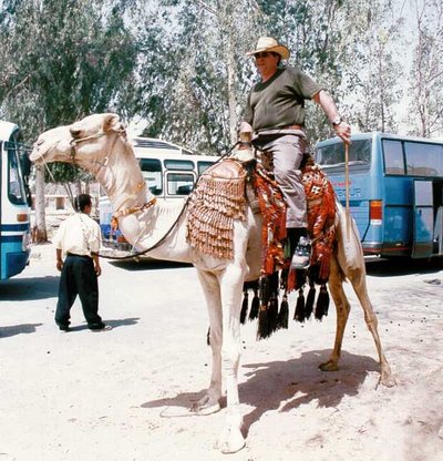 Shane On Camel